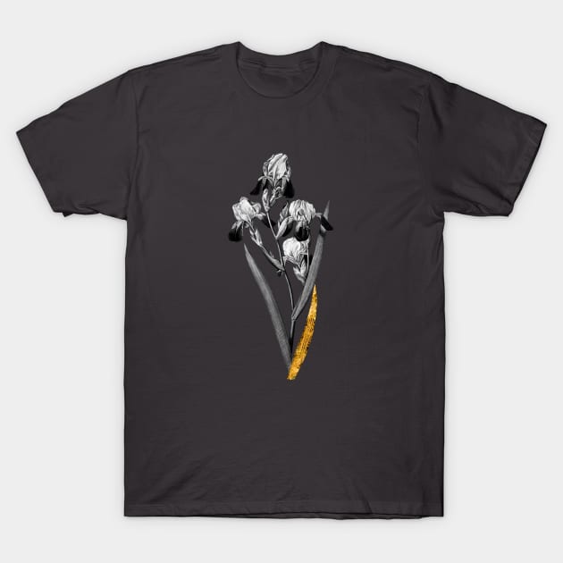 Black and Gold Leaf - Elder Scented Iris - Vintage Botanical T-Shirt by Holy Rock Design